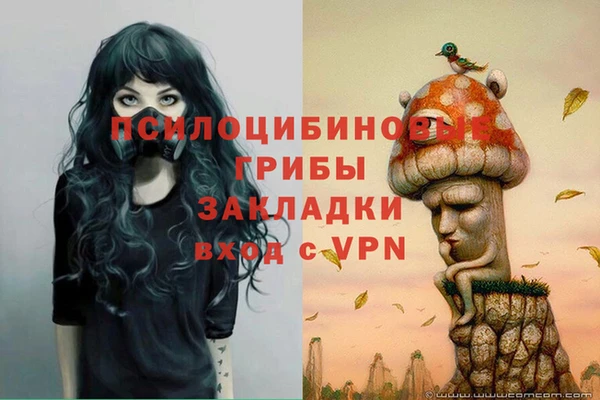 каннабис Богородицк