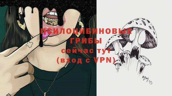 каннабис Богородицк