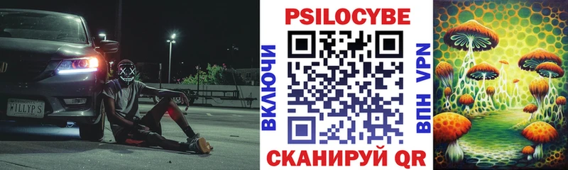 Псилоцибиновые грибы GOLDEN TEACHER  Хабаровск 